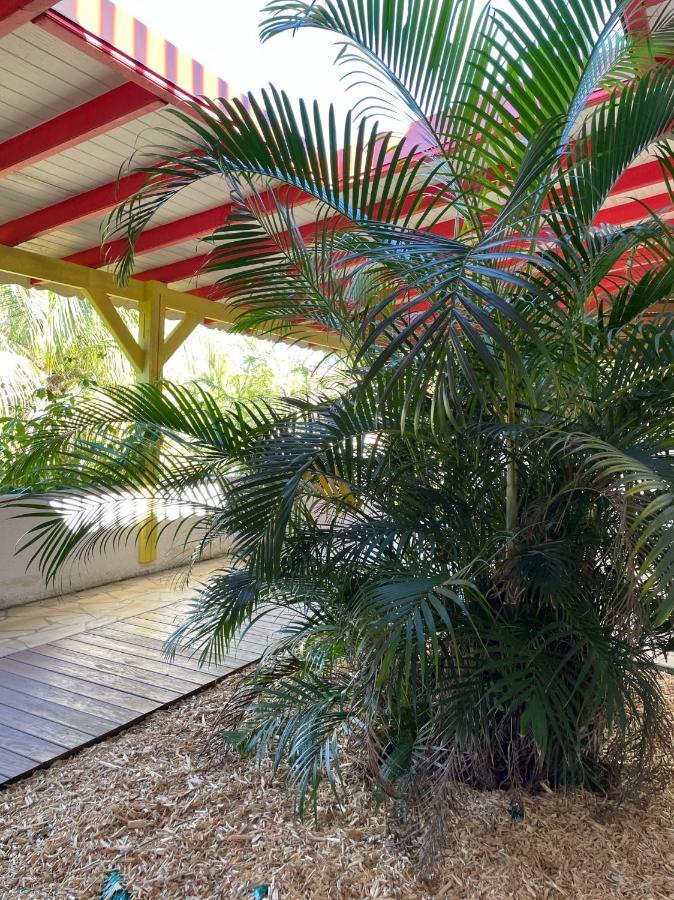 Jardin Sur Mer Terre-De-Haut Εξωτερικό φωτογραφία