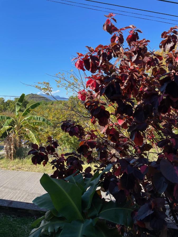 Jardin Sur Mer Terre-De-Haut Εξωτερικό φωτογραφία