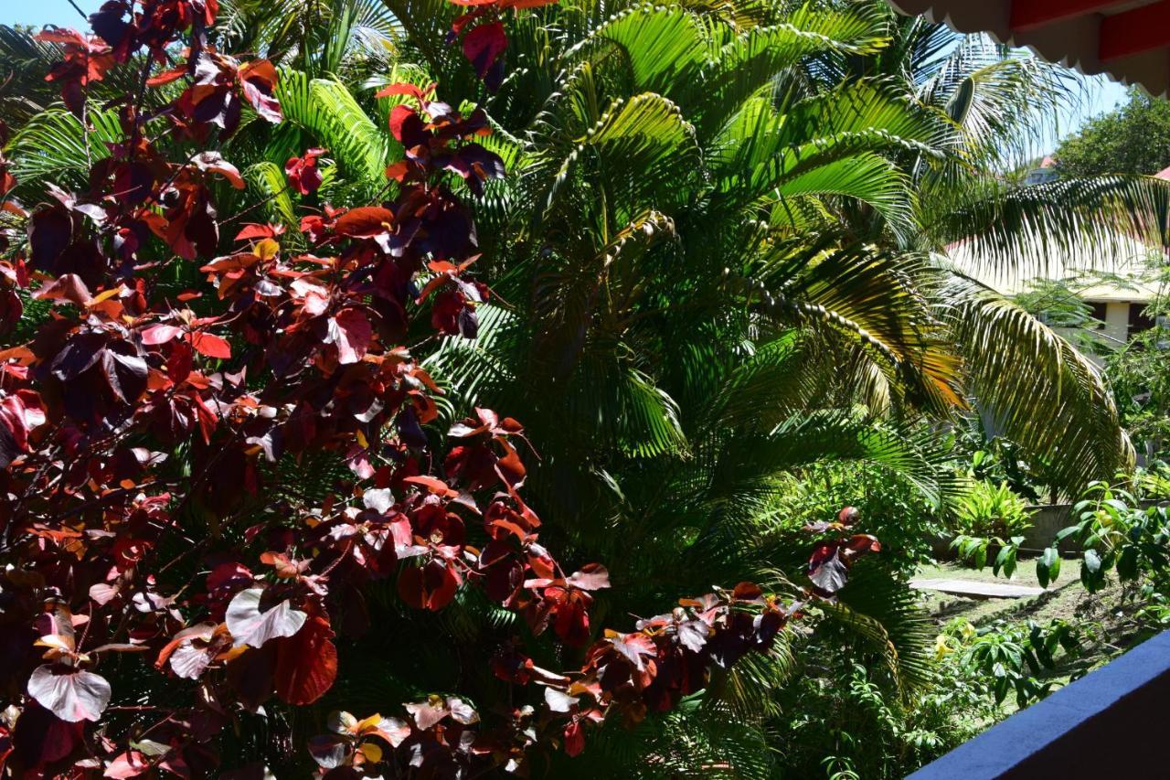 Jardin Sur Mer Terre-De-Haut Εξωτερικό φωτογραφία