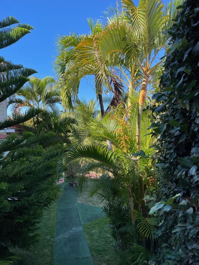 Jardin Sur Mer Terre-De-Haut Εξωτερικό φωτογραφία