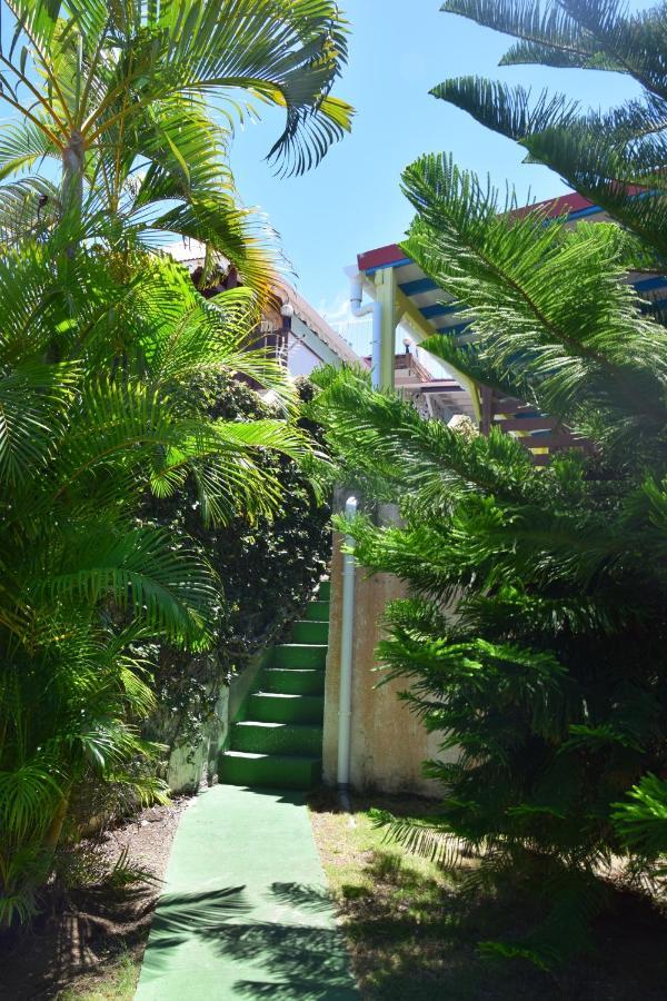 Jardin Sur Mer Terre-De-Haut Εξωτερικό φωτογραφία