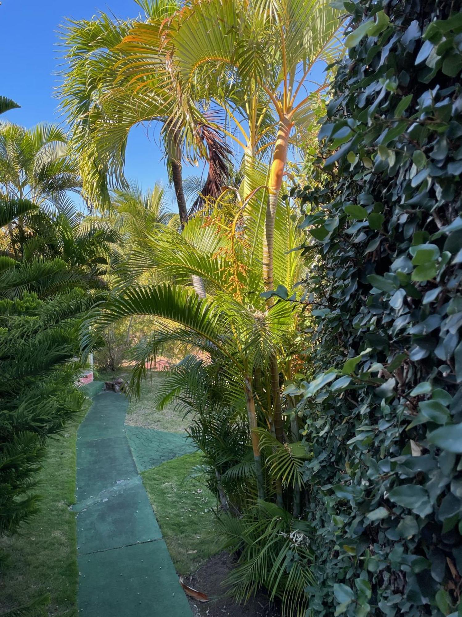 Jardin Sur Mer Terre-De-Haut Εξωτερικό φωτογραφία